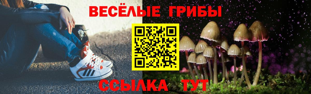 Галлюциногенные грибы мицелий  Вход с VPN  Бахчисарай 